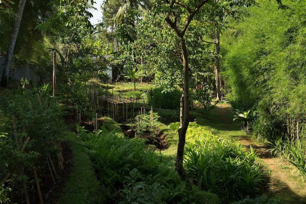 The Samaya Ubud Hotel 60/65