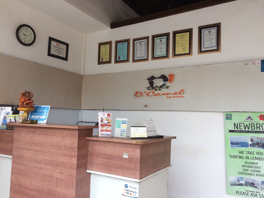 Dcamel Hotels Lembongan 45/62