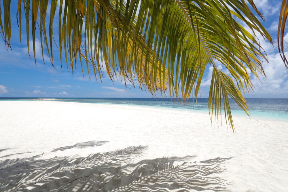 Sandies Bathala Maldives 57/71
