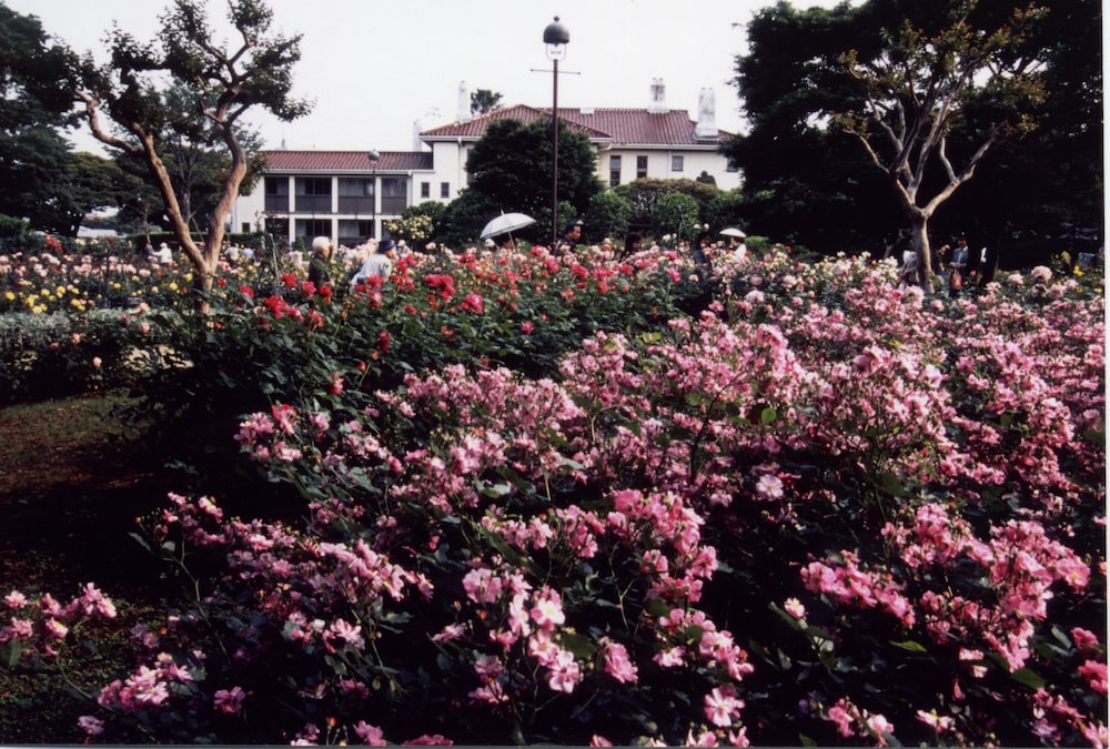 Sotetsu Fresa Inn Yokohama Totsuka 66/69