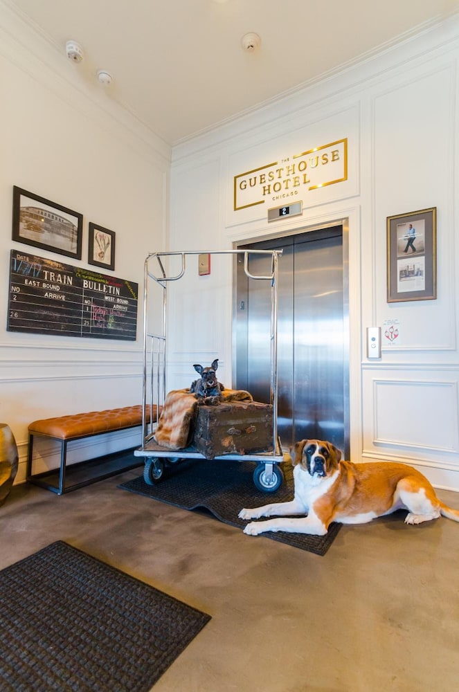 The Guesthouse Hotel 13/47