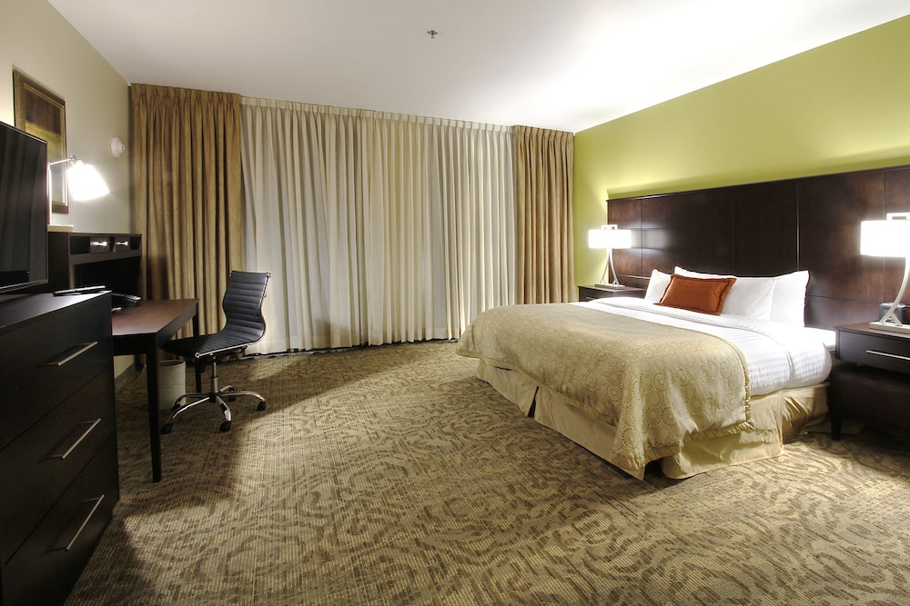Staybridge Suites CHIHUAHUA 20/73