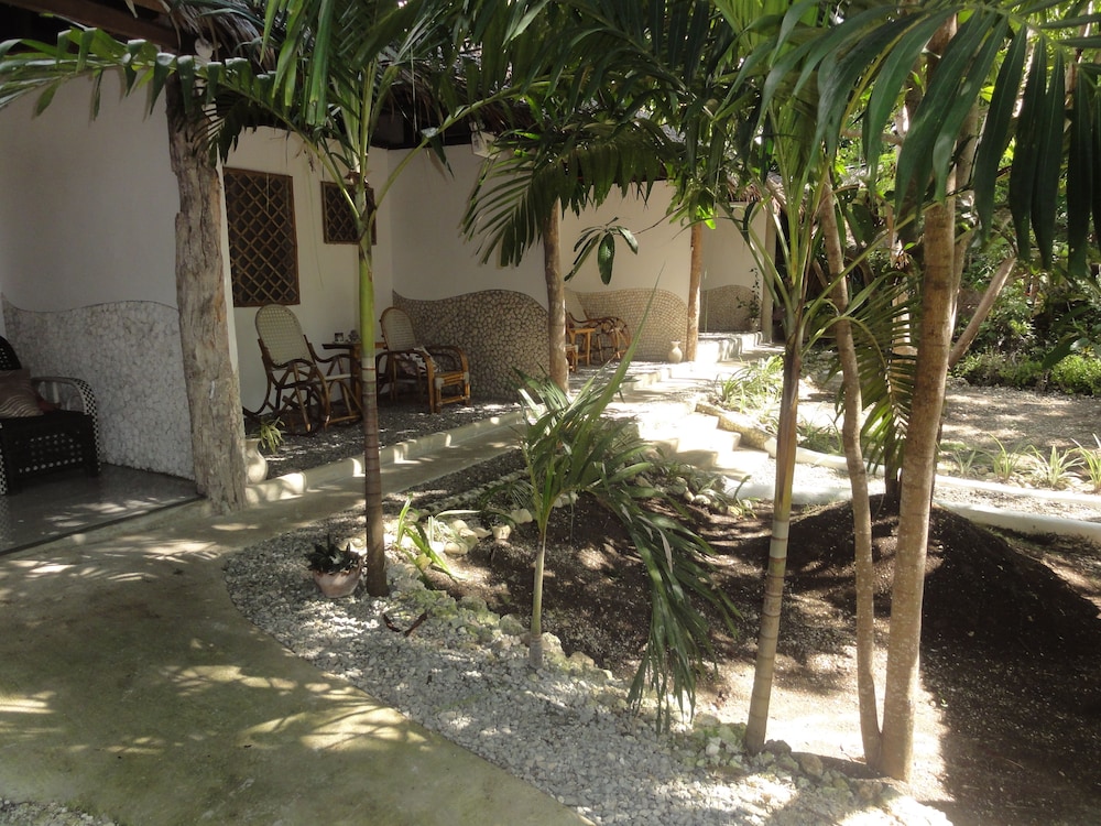 Sea Turtle House 39/50
