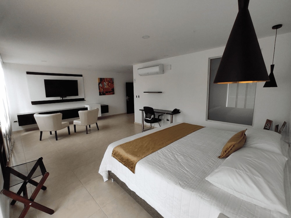 Hotel Andinos Plaza 16/48