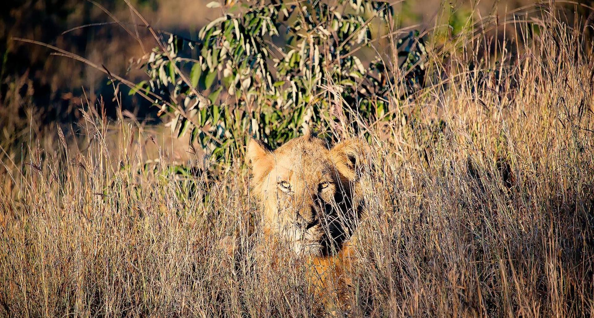 Elephant Game Lodge 51/56