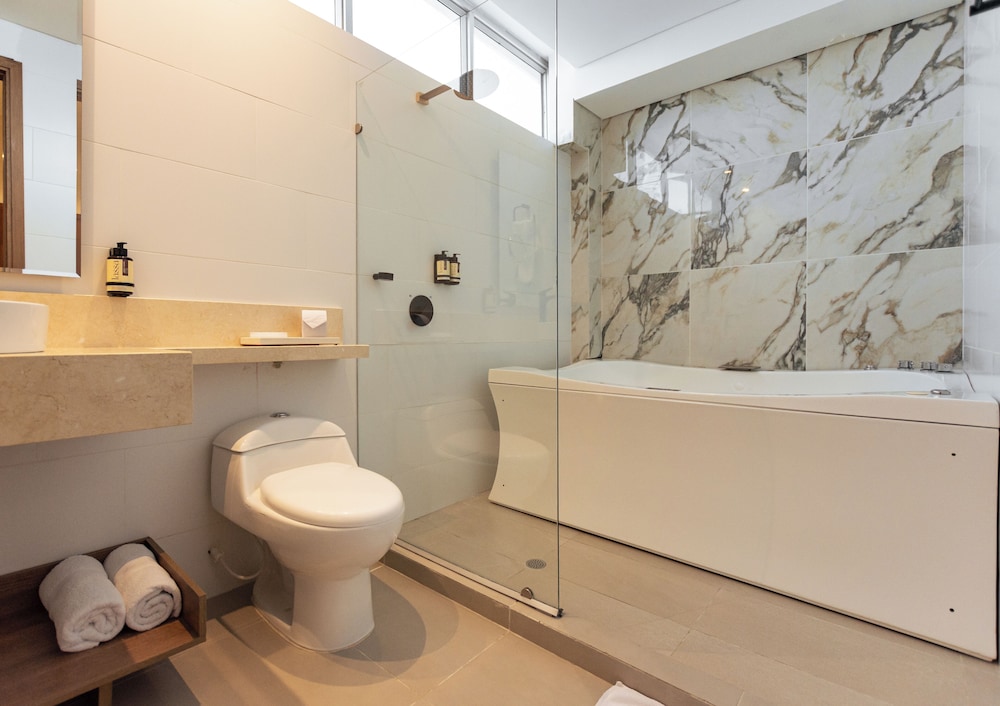 Zione Luxury Hotel Cartagena 85/85