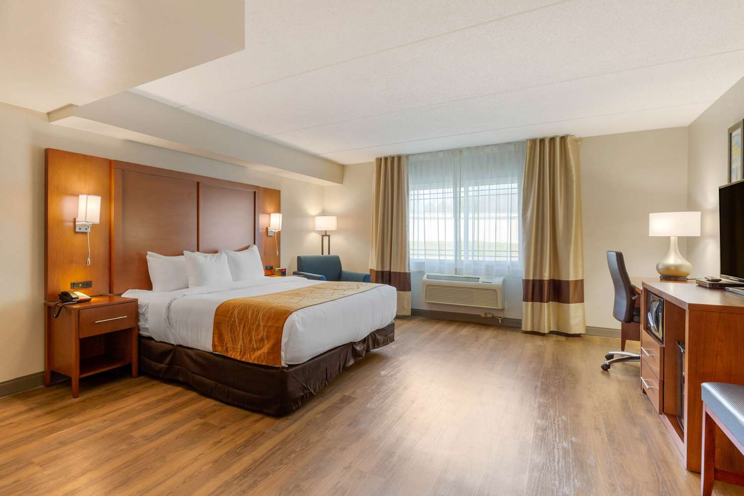 غرفة بسرير كينج لذوي الإعاقة، Comfort Inn & Suites Milford DE 2/4