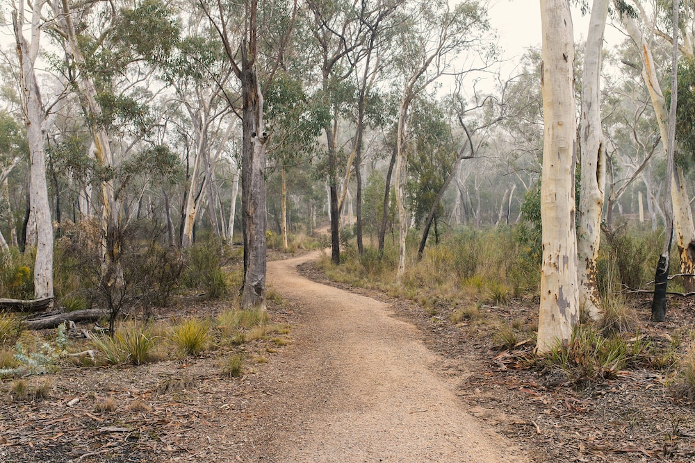 Alivio Tourist Park Canberra 55/63