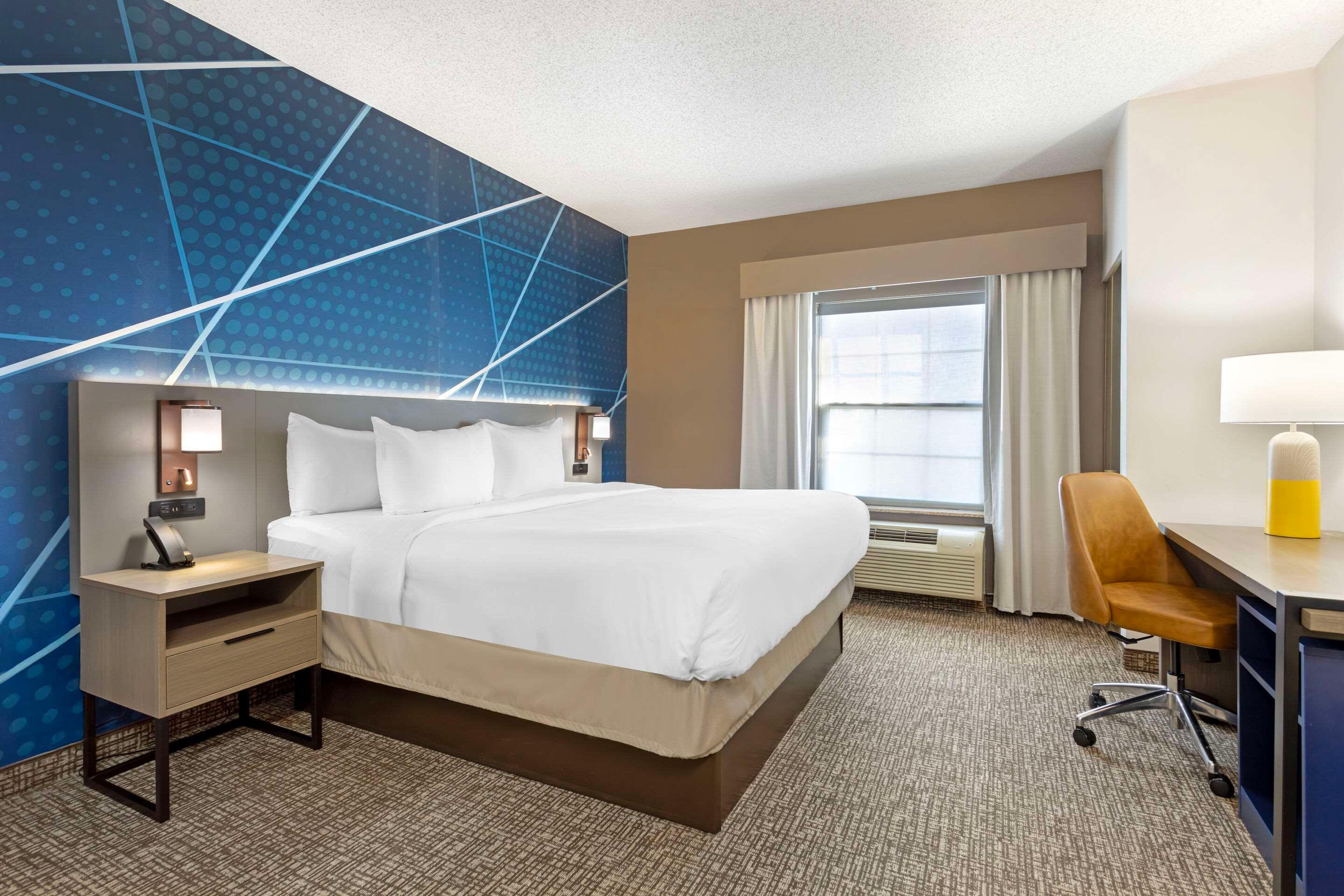 Efficiency, Suite, King Bed
