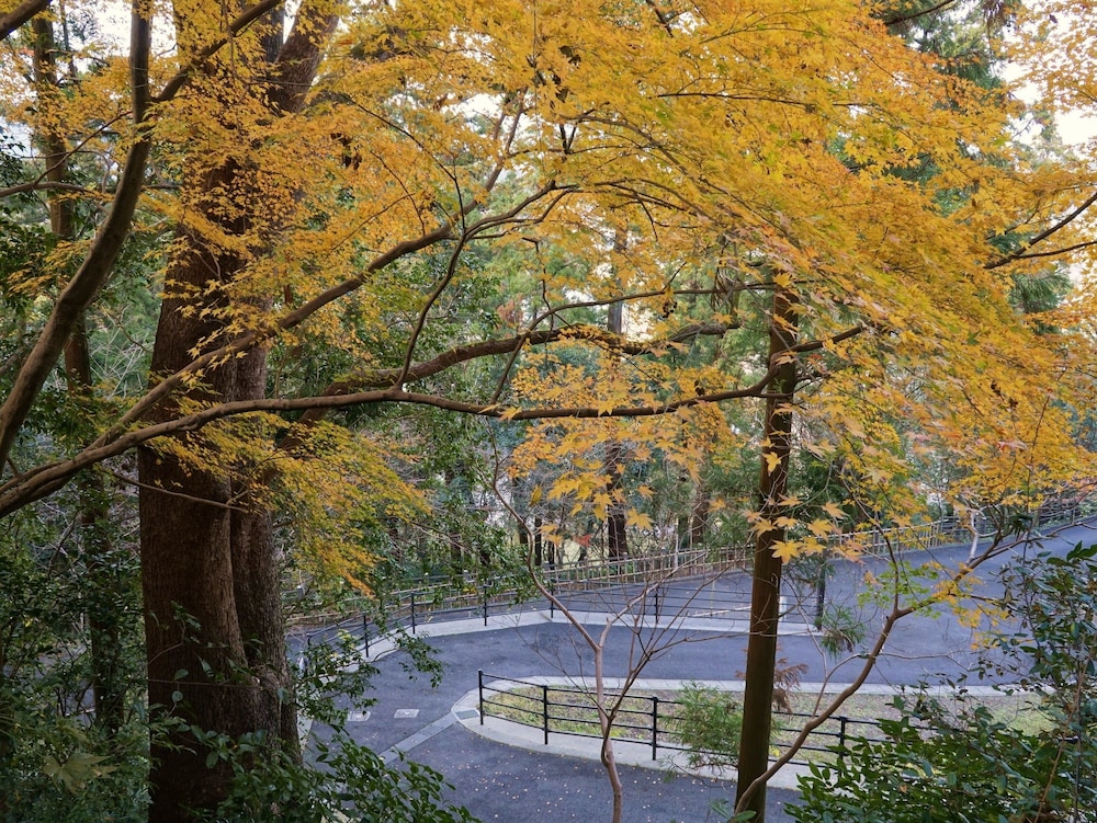 Apa Hotel Miyazaki Nobeoka Ekiminami 41/62
