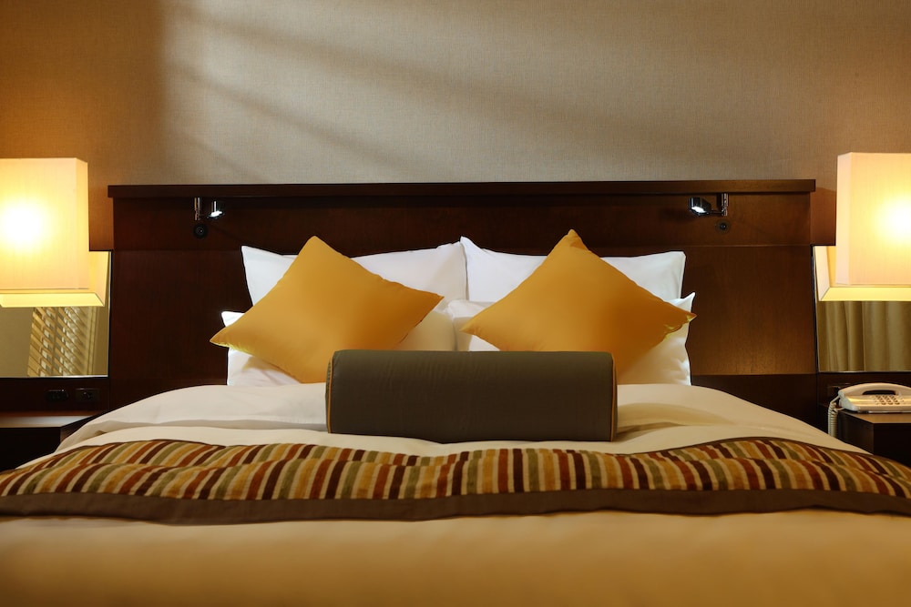 Ana Crowne Plaza Hotel Osaka 23/69