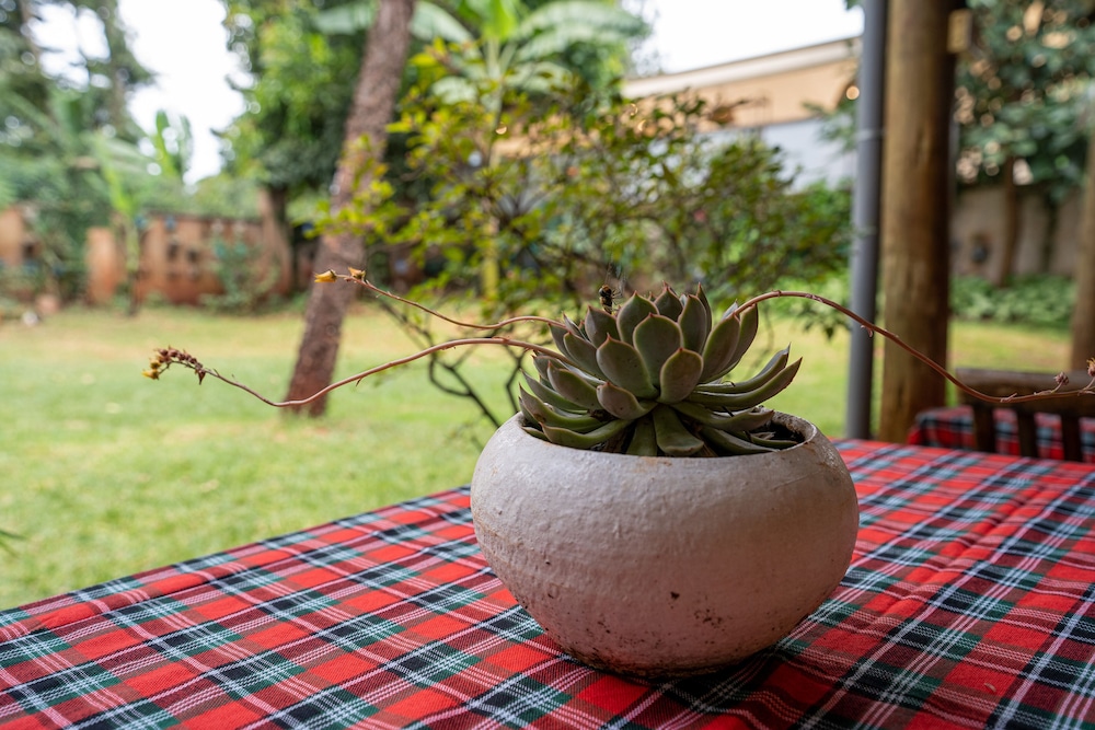 Bonsai Villa 46/50