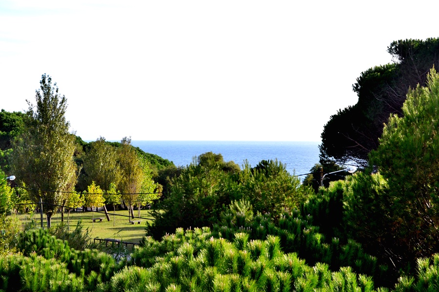 Duerming Montalvo Playa Hotel 28/32