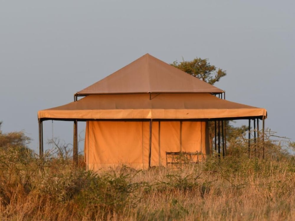 SERENGETI WILDEBEEST CAMP 6/55