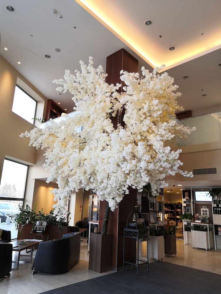 HILTON GARDEN INN RZESZOW 12/49