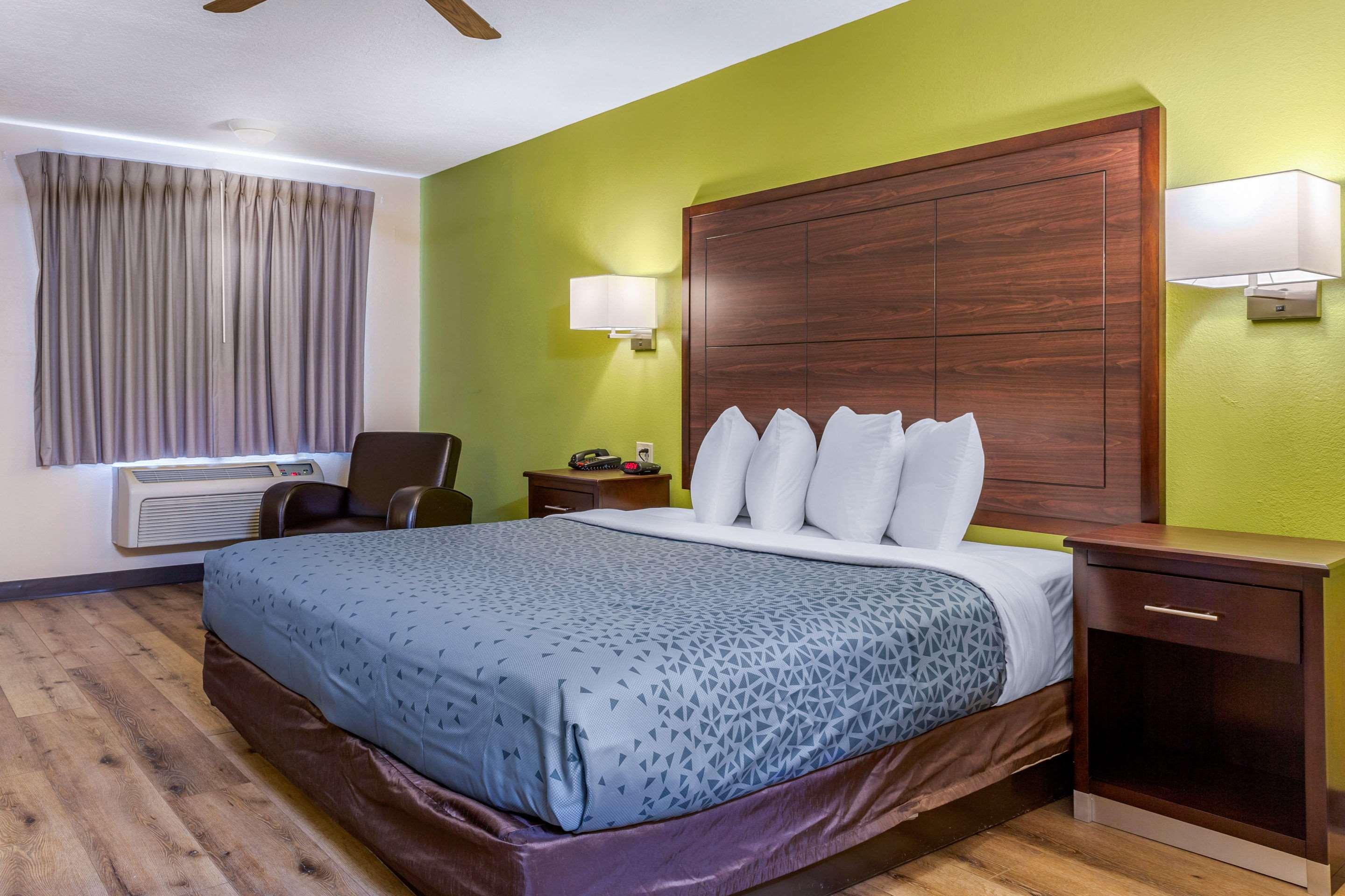 Room, King Bed