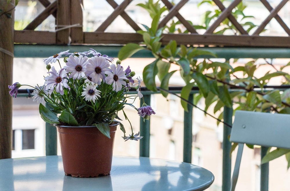 Prati Resort Guesthouse 35/50