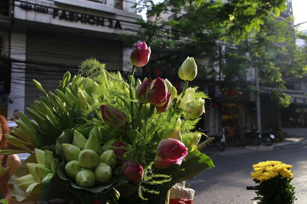 Matilda精品and水疗酒店(Matilda Boutique and Spa Hotel) 图片1