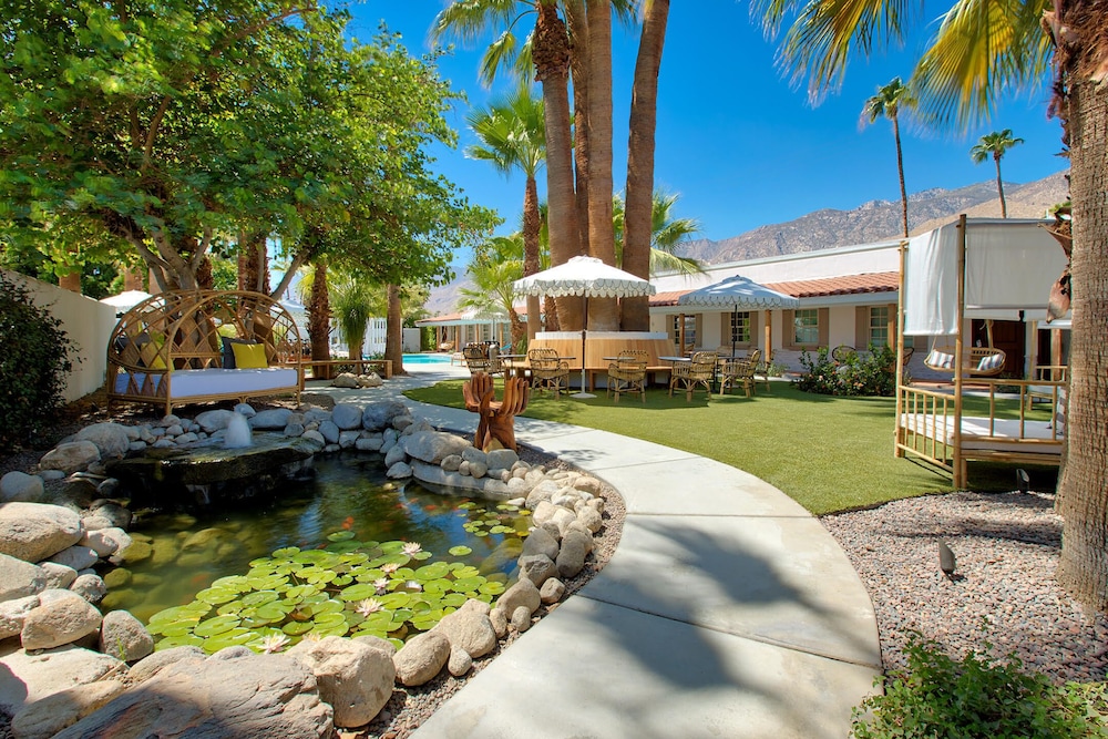 Dive Palm Springs 21/50