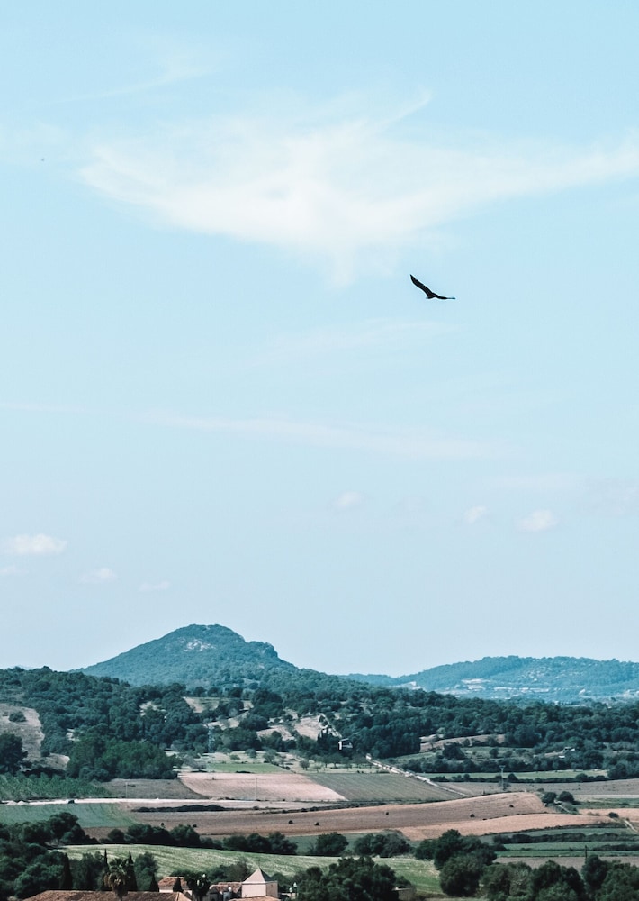 Hotel Es Convent D Ariany 34/50
