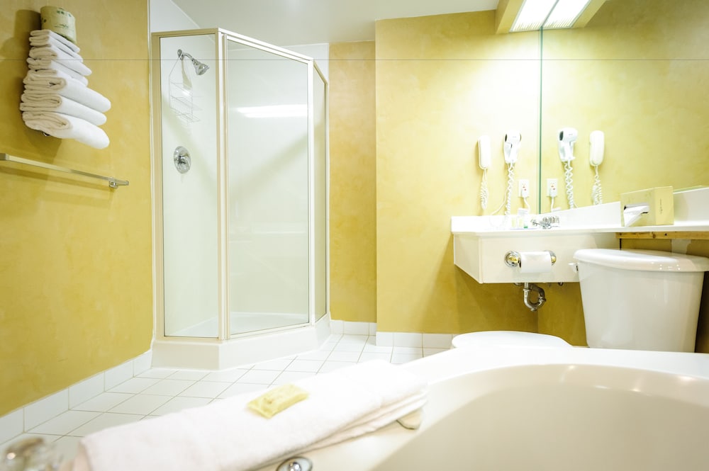Peterborough Inn & Suites Hotel 21/64