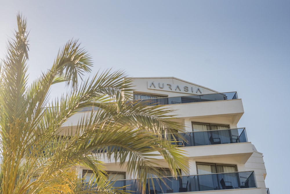 Aurasia Beach Hotel photo3