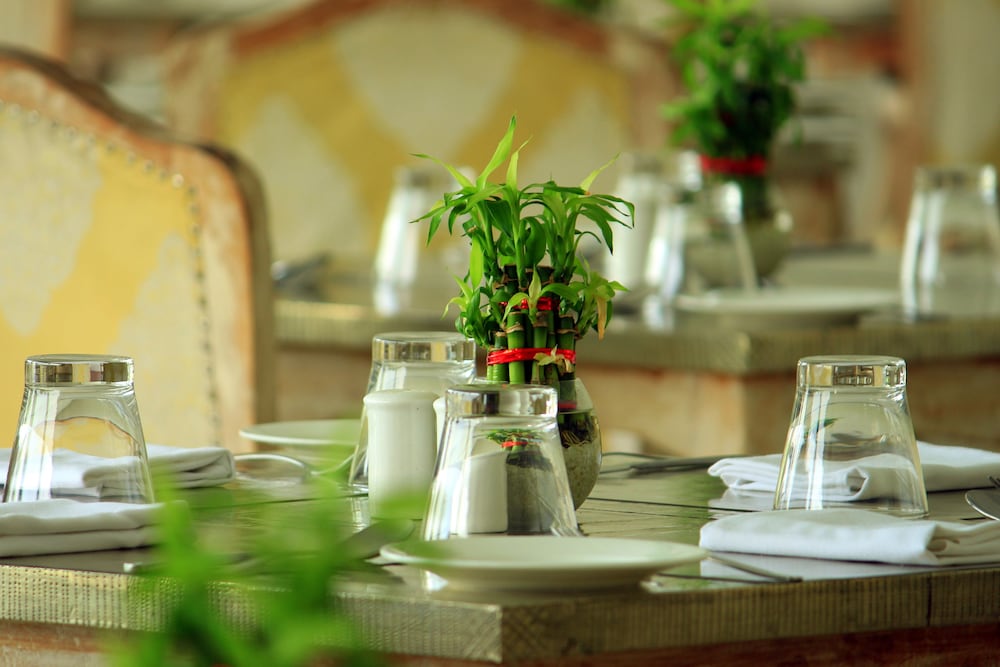 Tatsaraasa Resort and Spa Udaipur 12/40