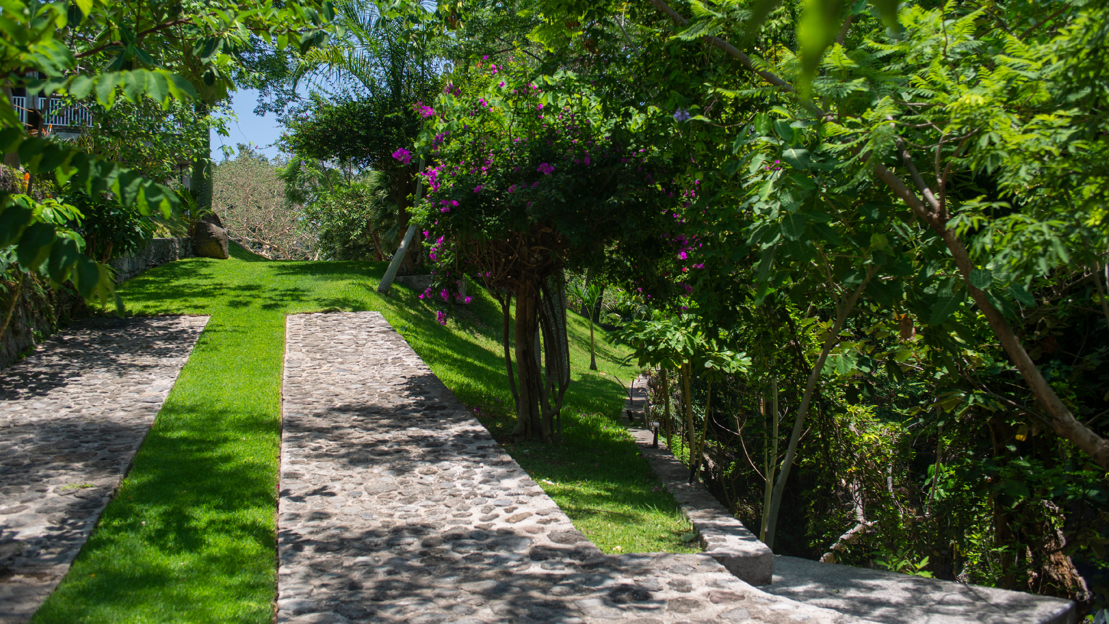 Holiday Inn Express & Suites Cuernavaca 42/50
