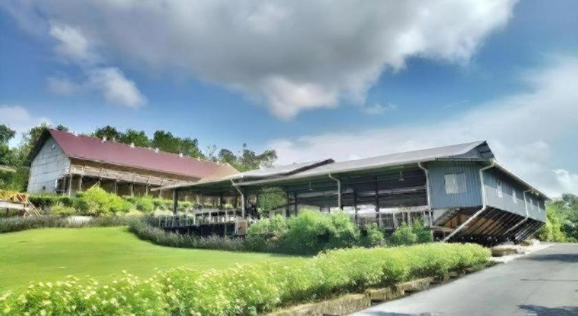 Borneo Hotel 36/37