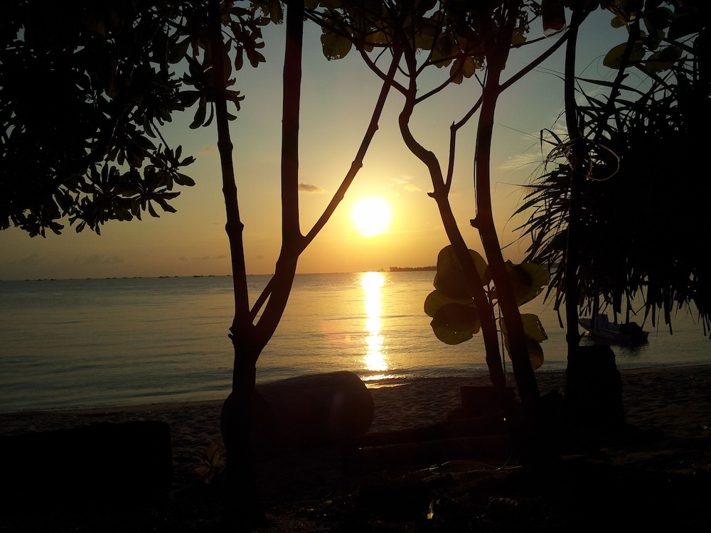 Trikora Beach Club & Resort photo4