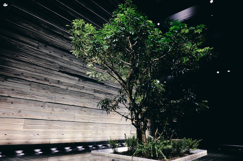 Nol Kyoto Sanjo 47/50