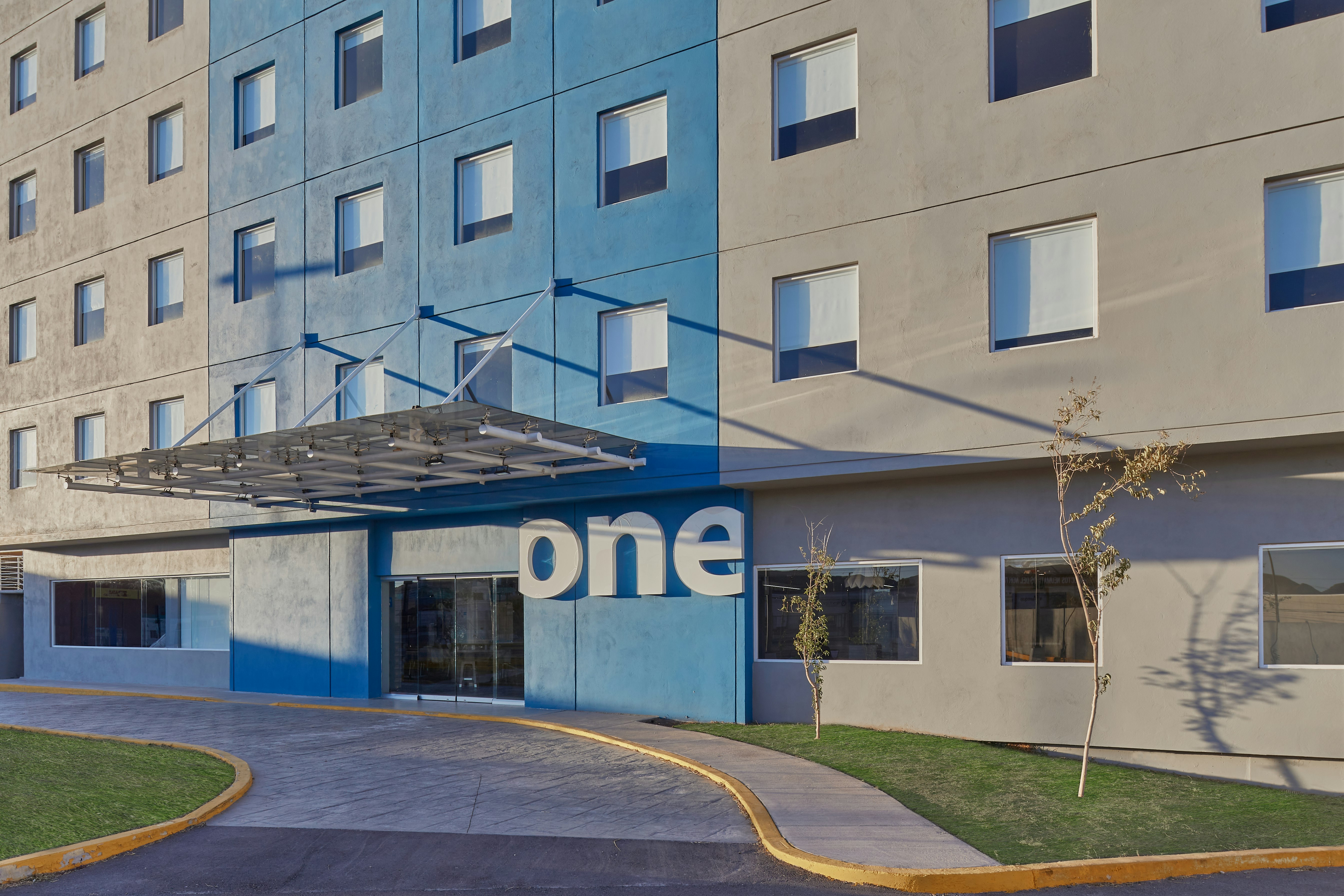 One Chihuahua Norte 37/38