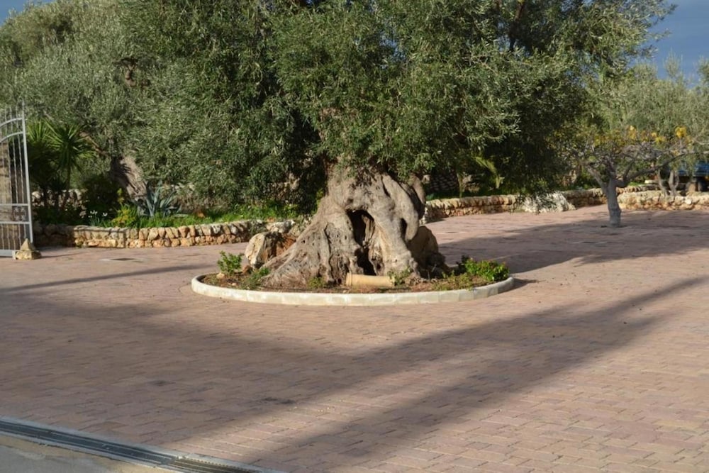 Masseria San Martino 45/57