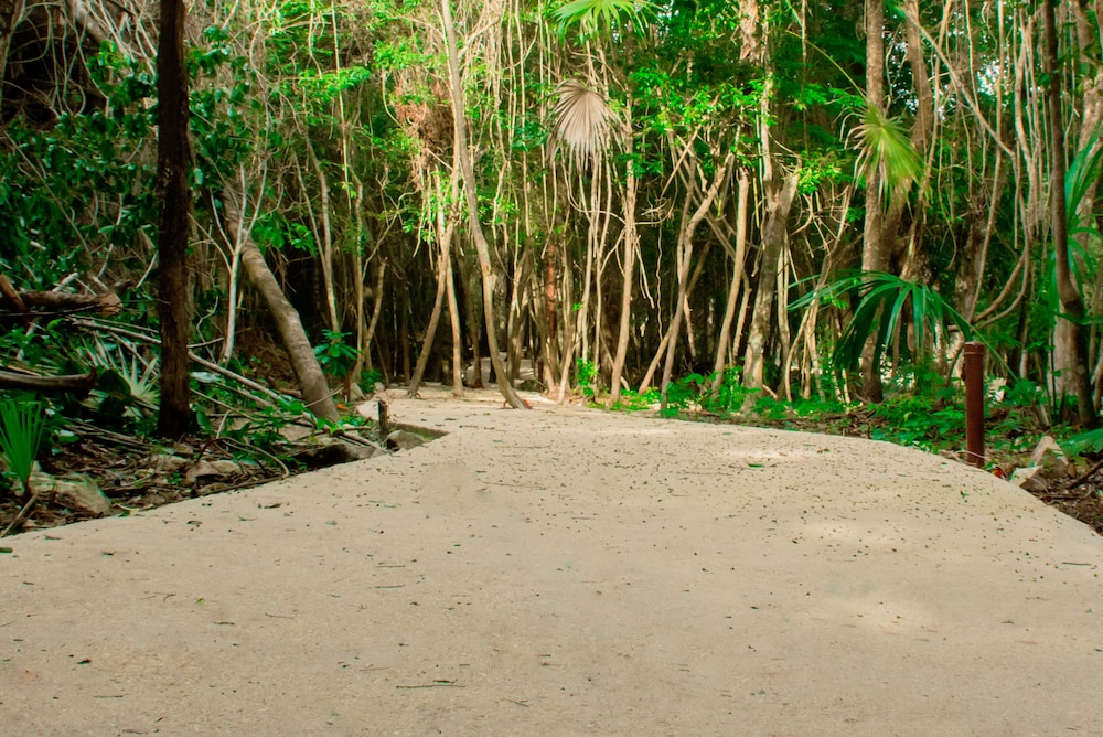 Hotel Casa Tortuga Tulum 41/48