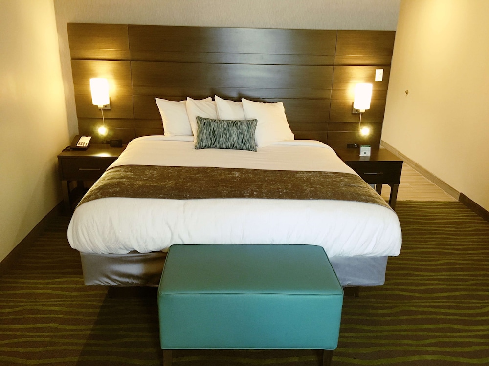 Best Western Plus At Prien Lake Inn And Suites 17/48