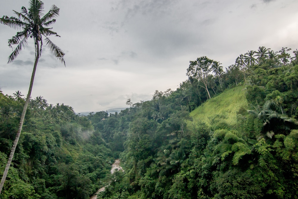 Ulun Ubud Resort 56/74