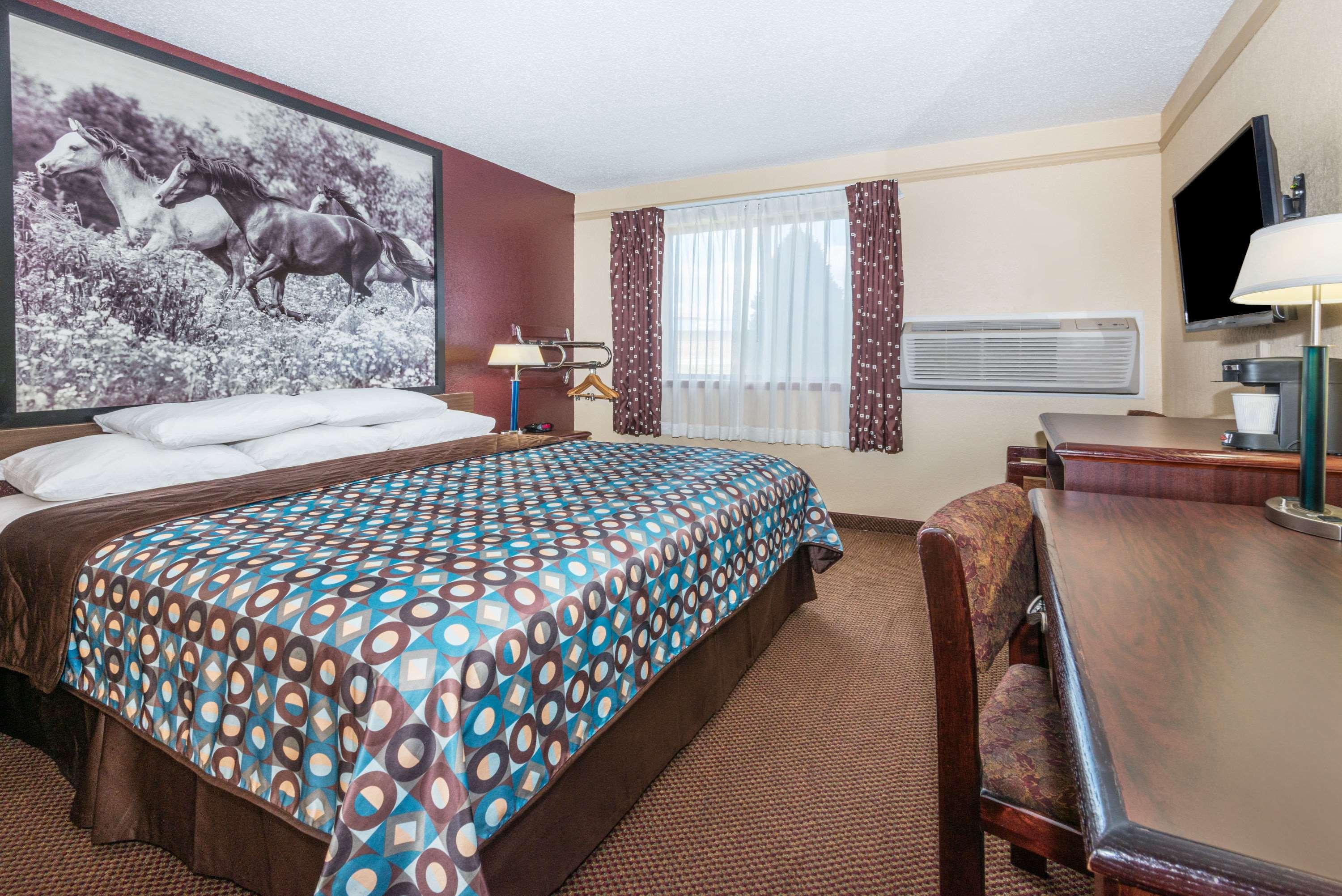 Room, King Bed