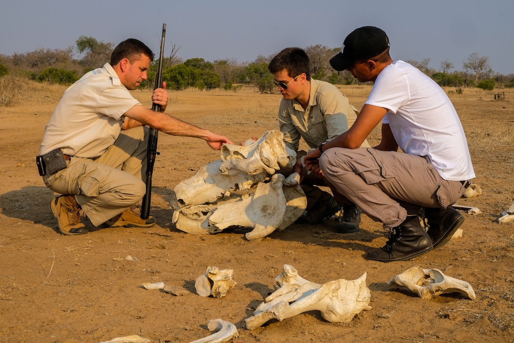 Honeyguide Tented Safari Camps 38/50