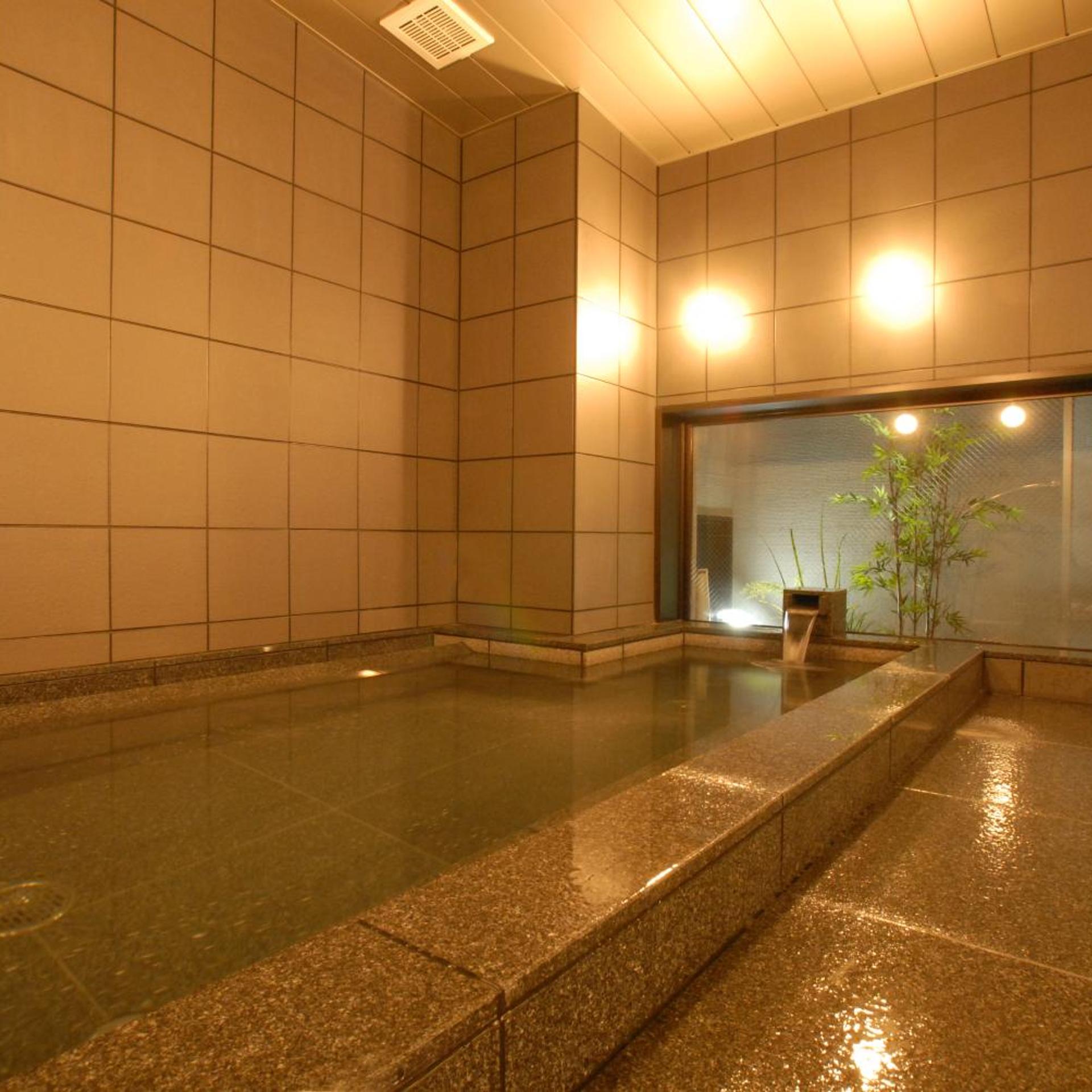 AB Hotel Mikawa Toyota 21/26