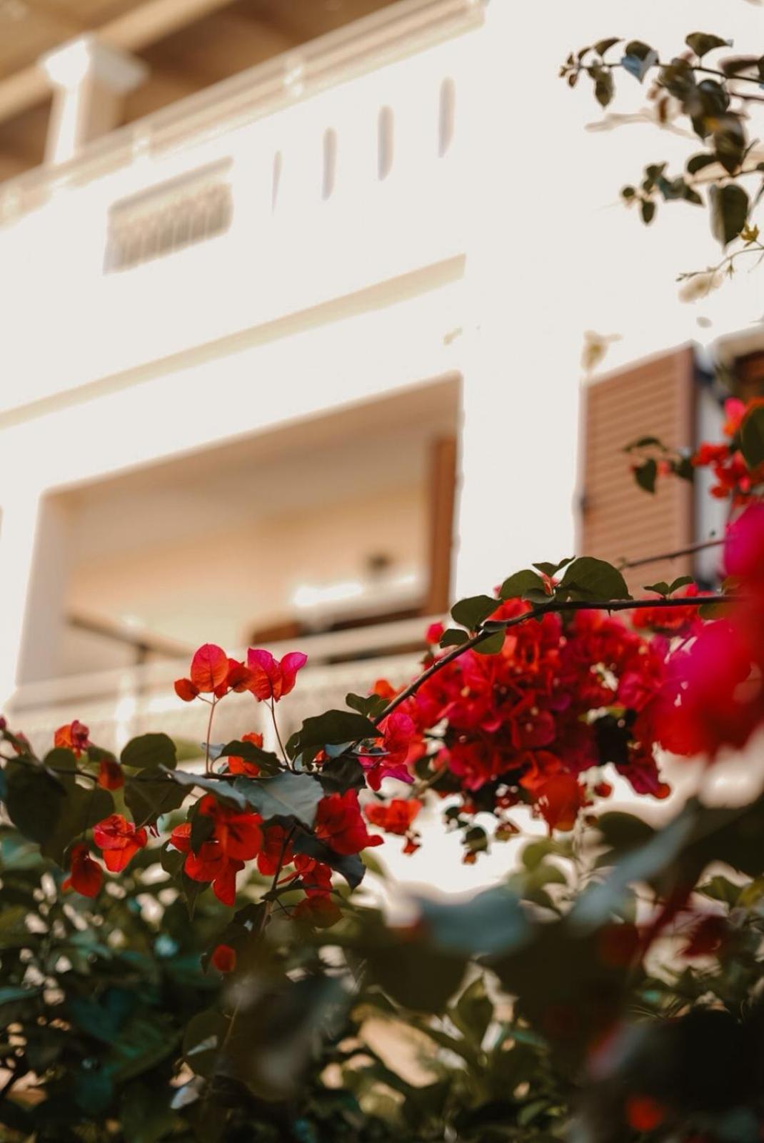 SIFAKIS HOUSE in PARGA
