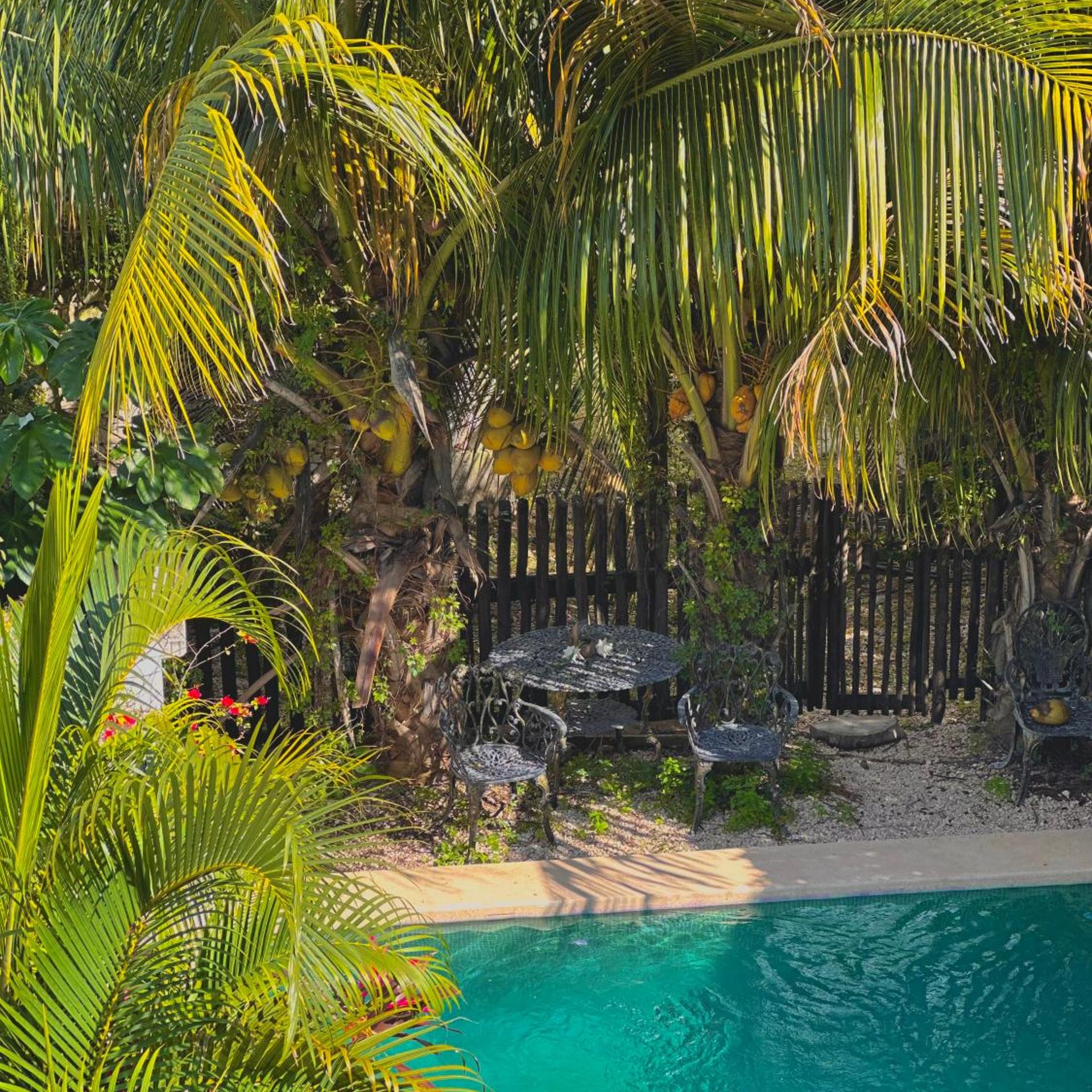 Hotel Jaiba Mahahual 51/58