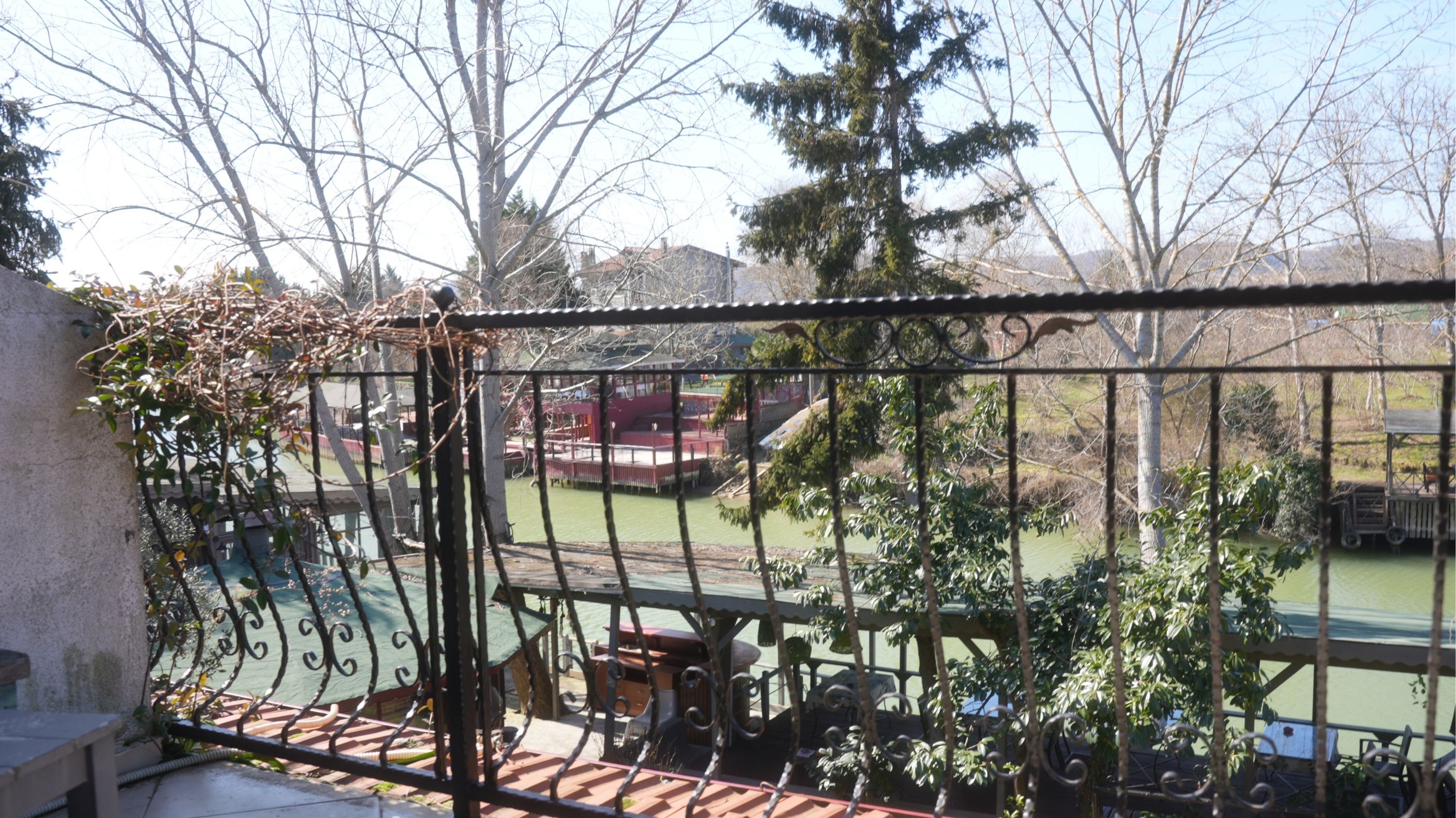 Tree Tops Park 2/50