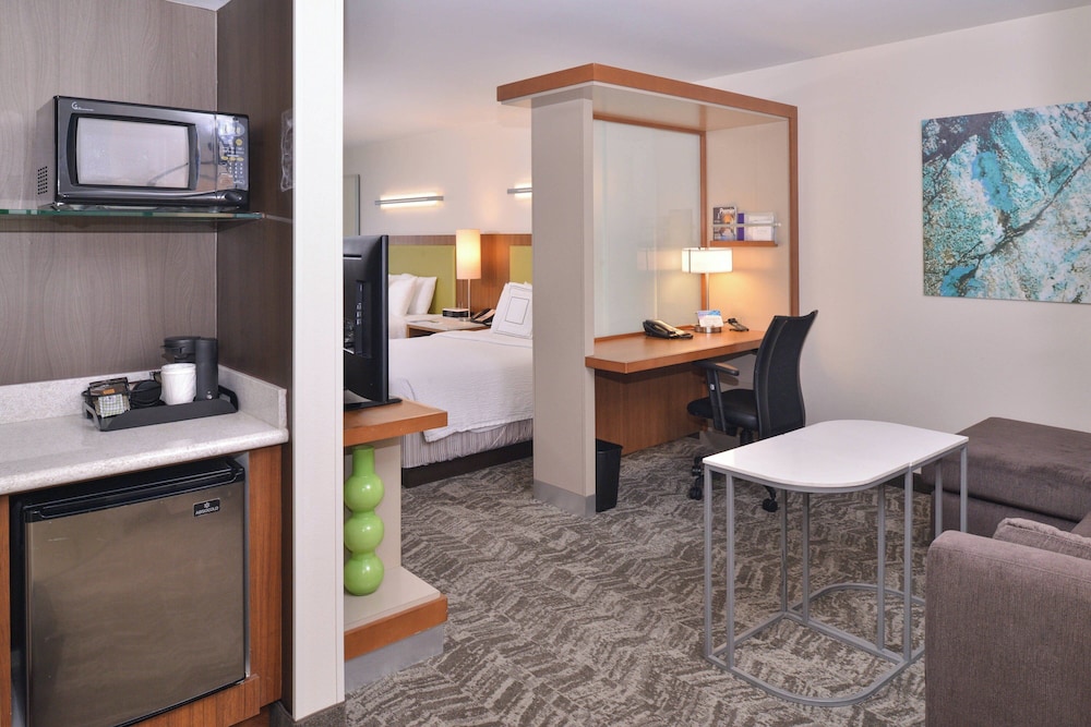 جناح استوديو بسريرين كوين لذوي الإعاقة، Springhill Suites By Marriott 3/3