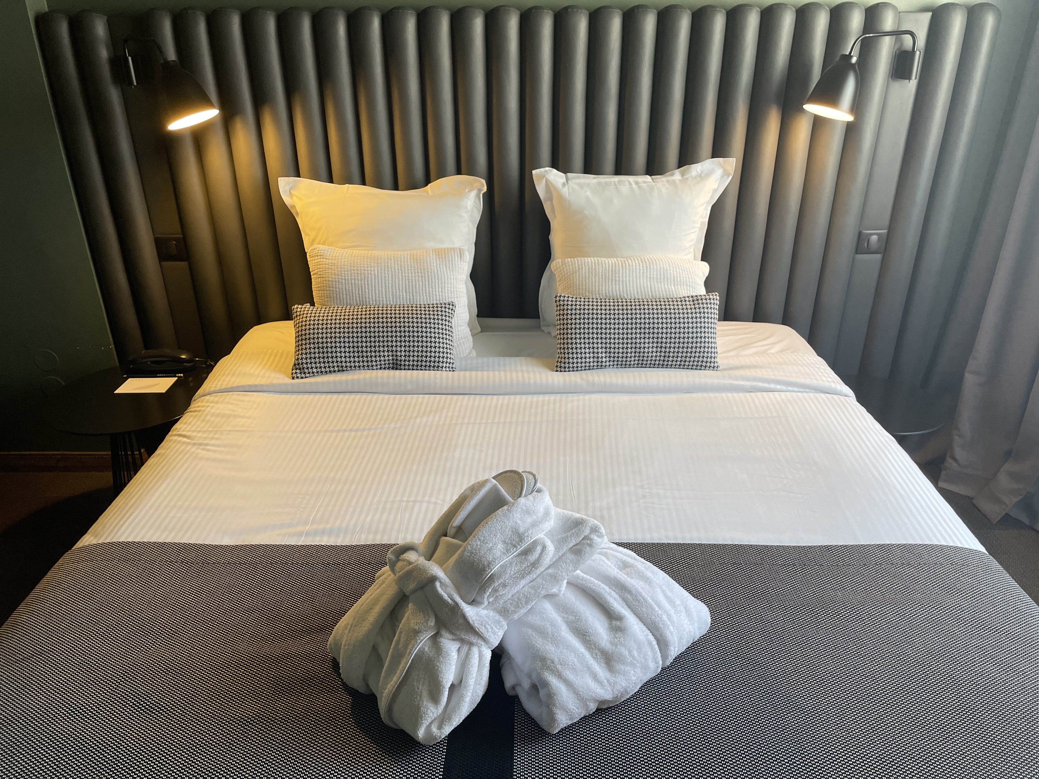Hotel Diana Dauphine 18/56
