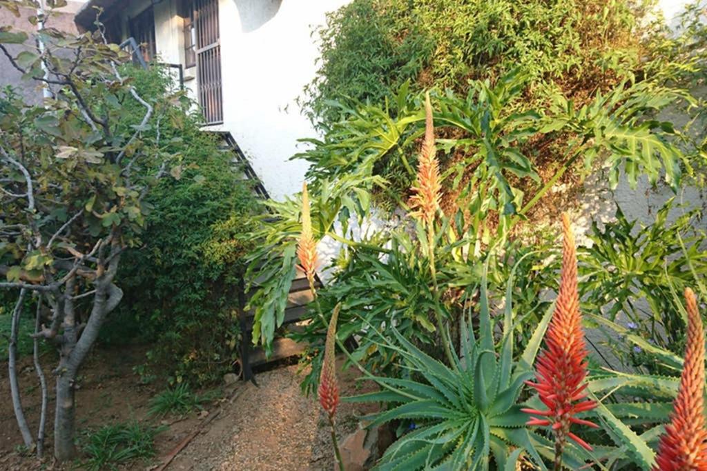 41 Ridge Self-catering Cottages 33/50