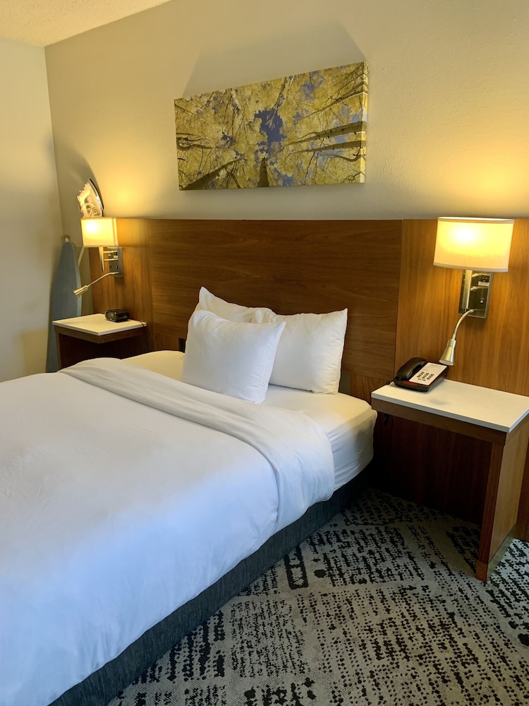 Plaza Hotel Denver Central 15/44