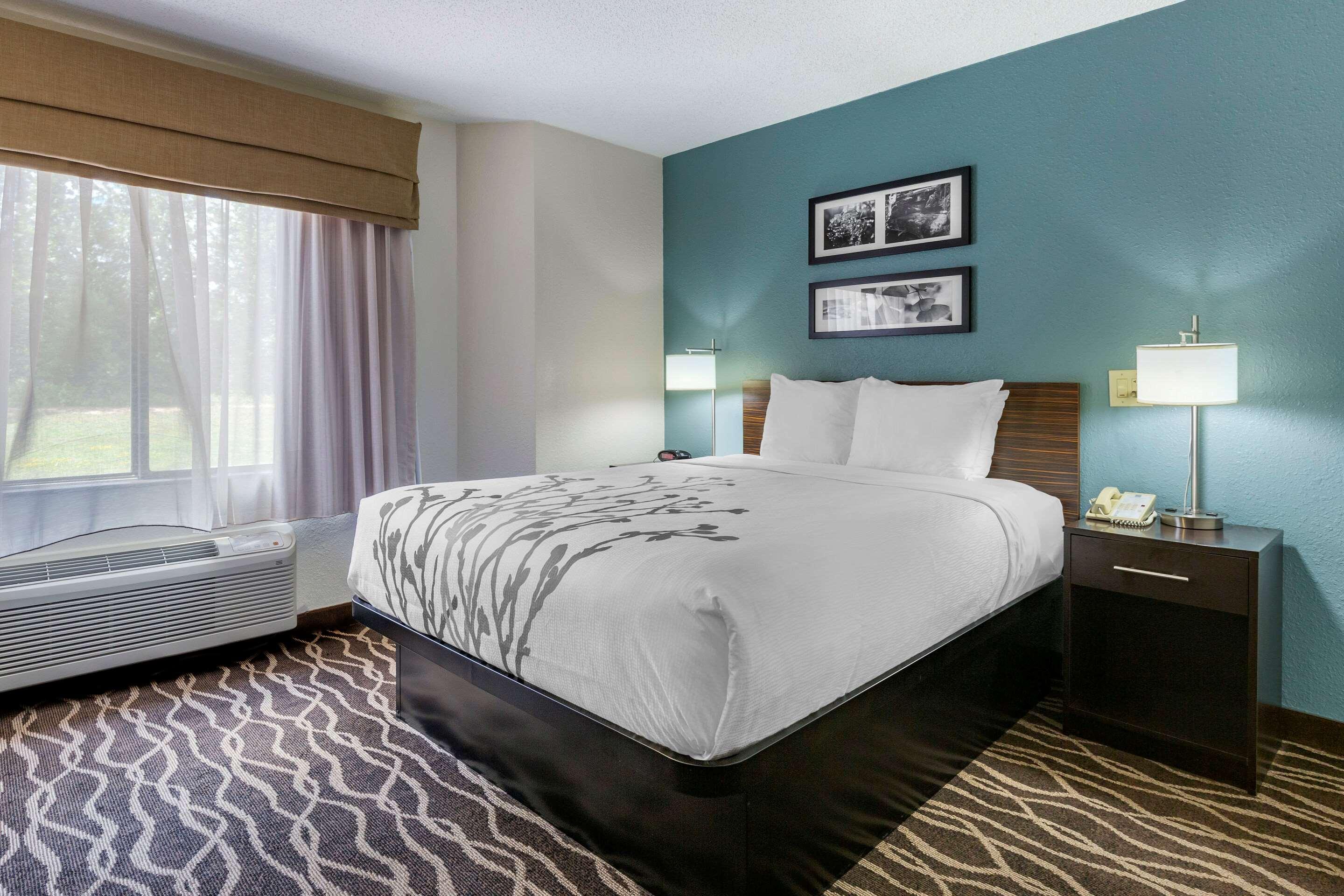 ROOM, QUEEN BED, ACCESSIBLE