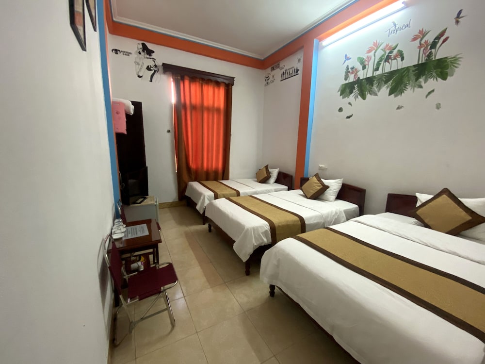 Alex Hotel 19/72