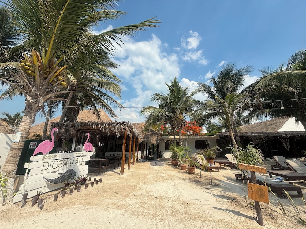 La Diosa Kali Beach Front Hotel 23/50