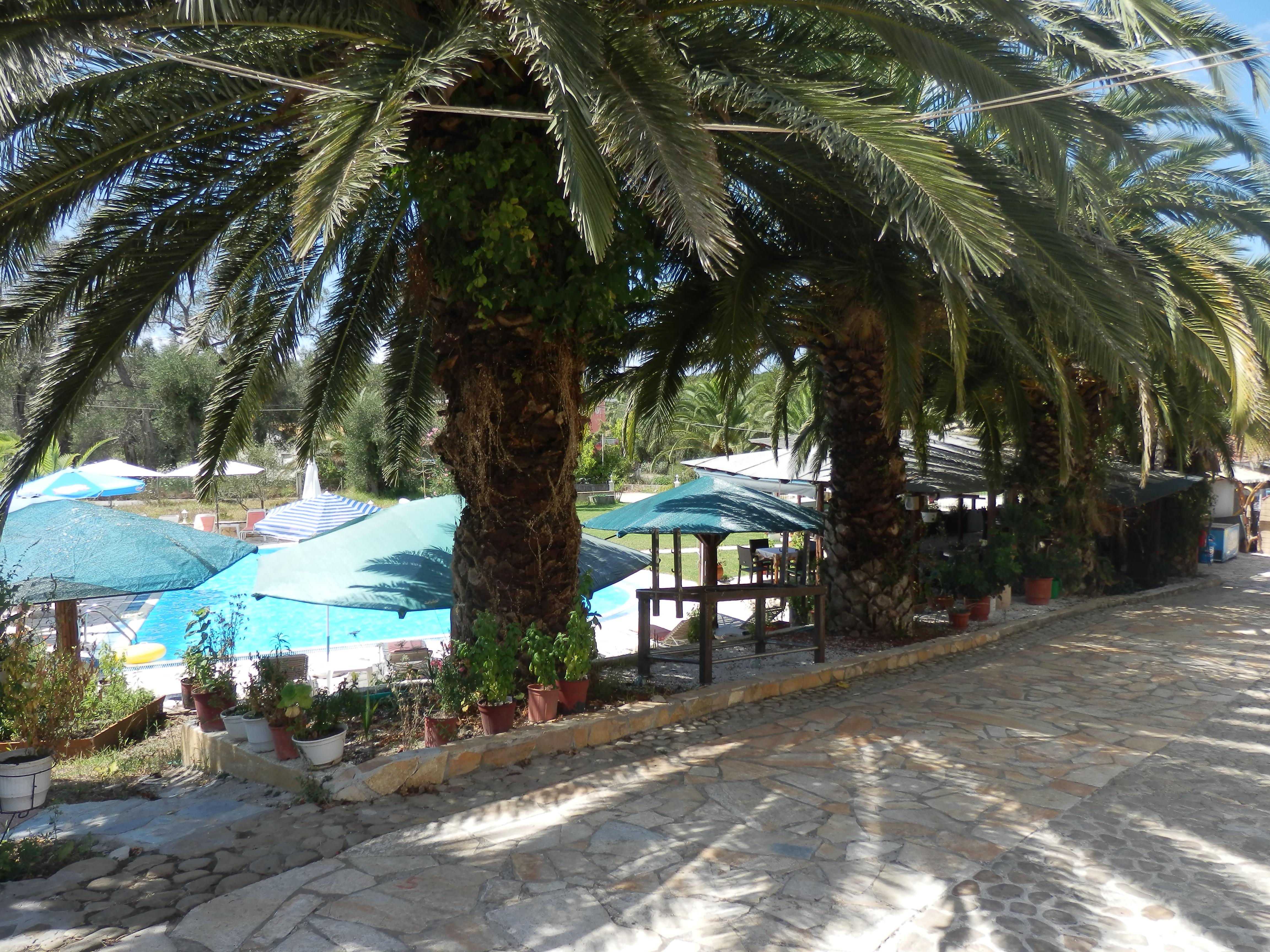 PENSION NYCHTERIDA 29/49